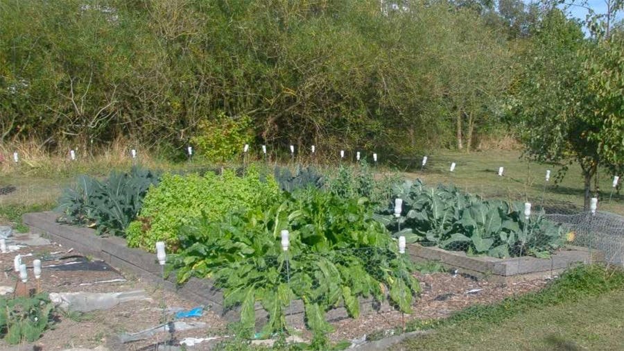 Rye Community Garden Q4 Update