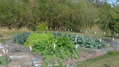 Rye Community Garden Q4 Update