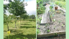 Rye Community Garden 2020 Progress